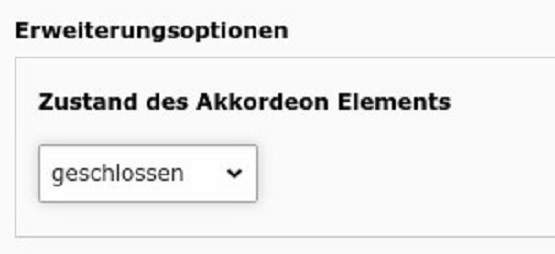 5. Zustand des Akkordeonelements einstellen. Sie haben die Wahl zwischen