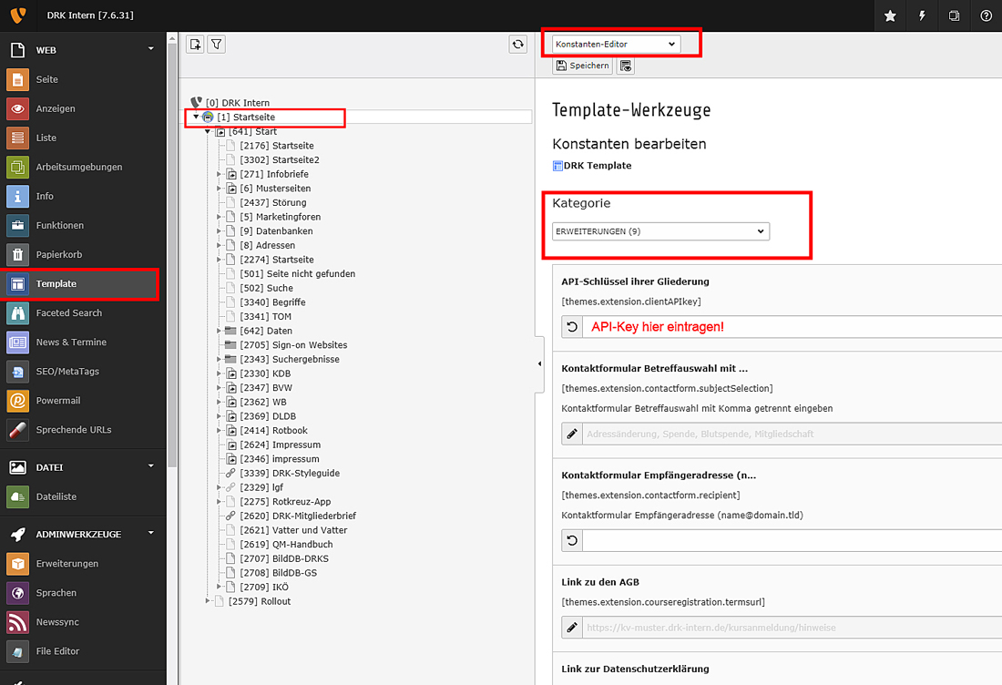 API-Key im TYPO3-Backend eintragen